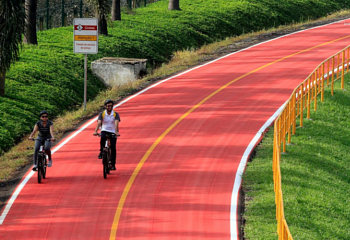 tour-Bike-Lane-Sundays