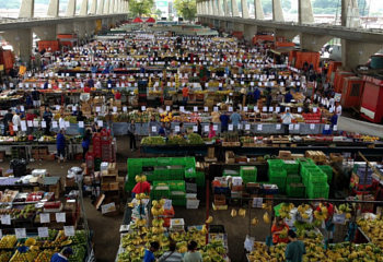 tour-Food-Distribution-Center