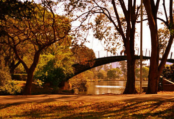 tour-The-lake-ibirapuera