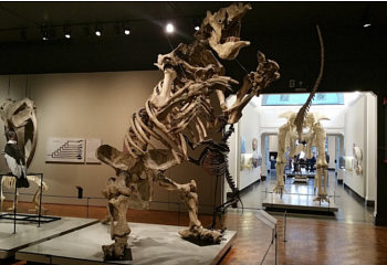 tour-Zoo-Museum