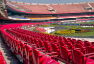 Morumbi Team Stadium