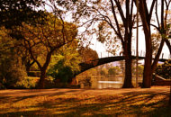 Ibirapuera Park